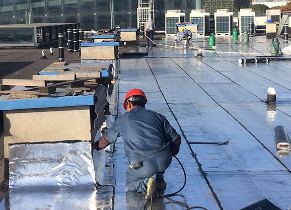 1586242364938953.jpg 7.jpg